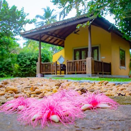 Birds Paradise Cabanas Unawatuna Buitenkant foto