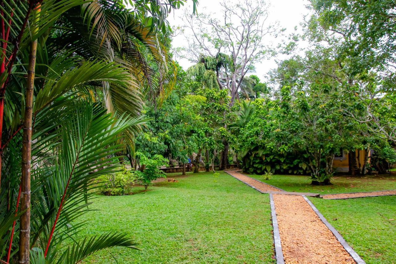 Birds Paradise Cabanas Unawatuna Buitenkant foto